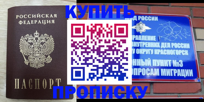 прописка гарантия в Медногорске